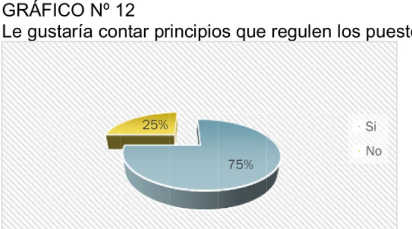 GRÁFICO Nº 12  