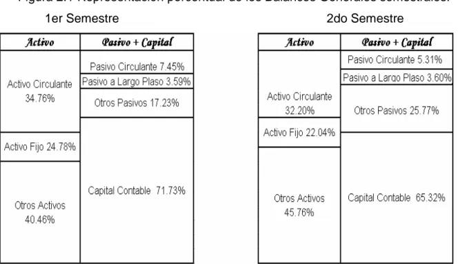 Figura 2.1 Representación porcentual de los Balances Generales semestrales.