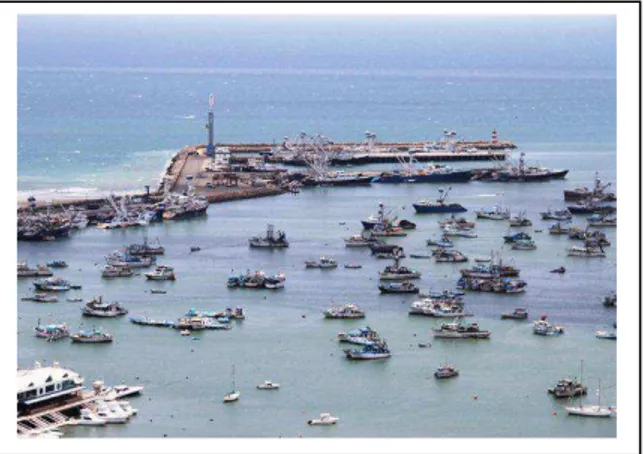 Foto 2: Embarcaciones Semi industriales en la rada del Puerto de Manta. 