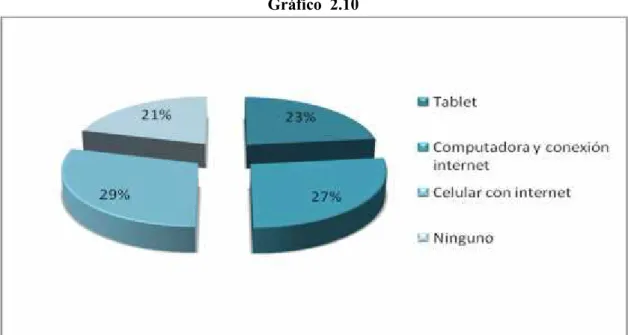 Gráfico  2.10