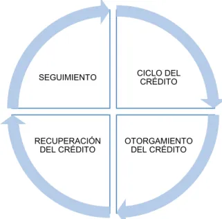 Ilustración 2. Ciclo del Crédito. 