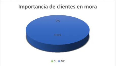 Tabla 10 Importancia de clientes en mora 