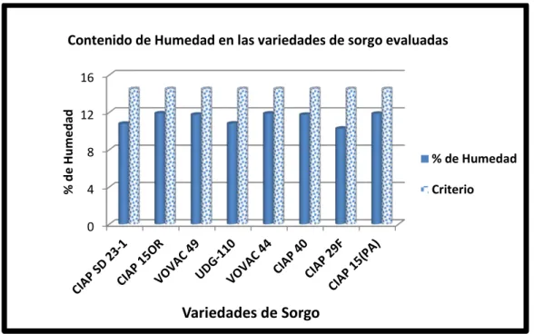 Figura 3.1. Comportamiento del contenido de Humedad en las  variedades de sorgo evaluadas (Promedio de tres determinaciones) 