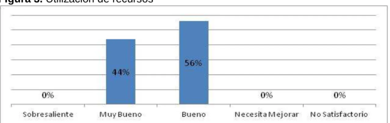 Figura 3. Utilización de recursos 