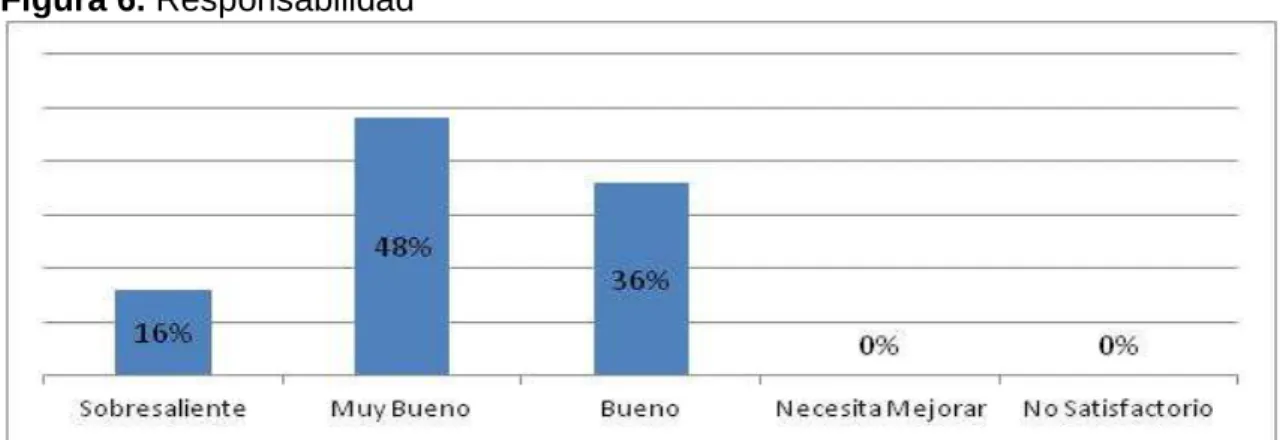 Figura 6. Responsabilidad 