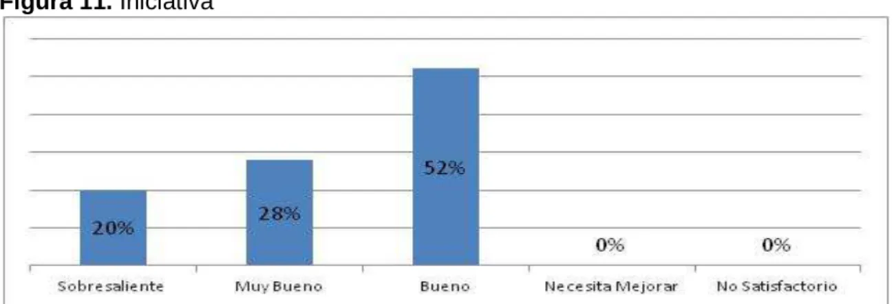 Figura 11. Iniciativa 