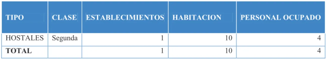 Tabla N° 10 Establecimientos de alojamiento