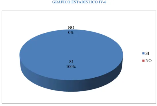 GRÁFICO ESTADÍSTICO IV-6 