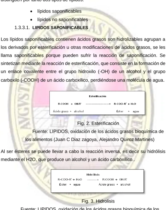 Fig. 2. Esterificación 