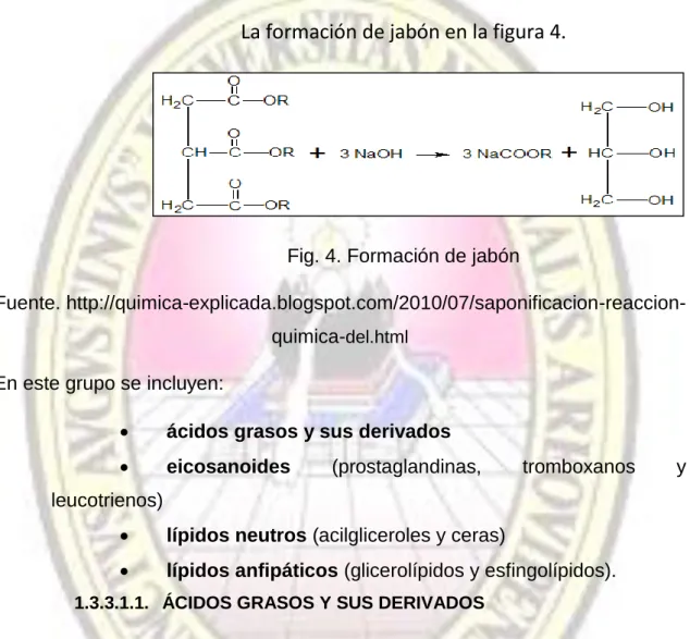 Fig. 4. Formación de jabón 