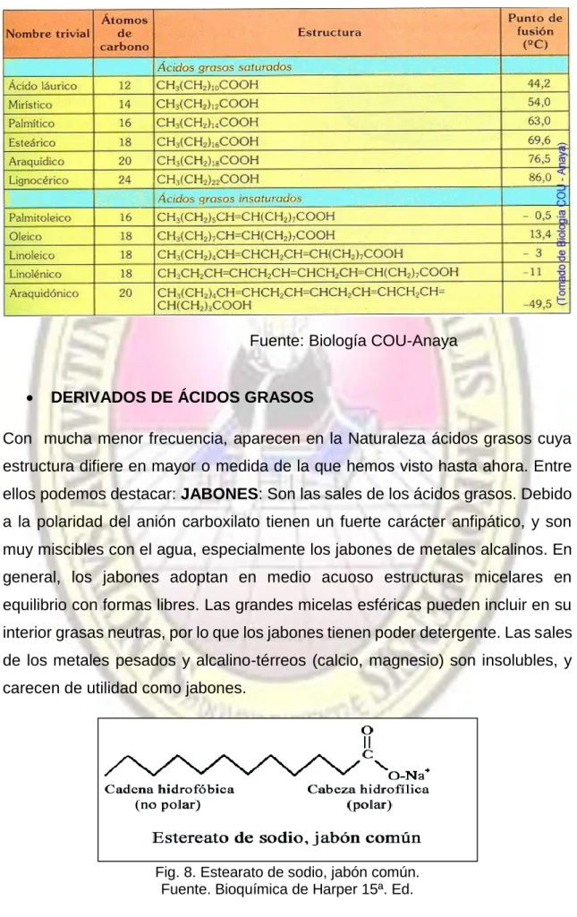 Fig. 8. Estearato de sodio, jabón común. 