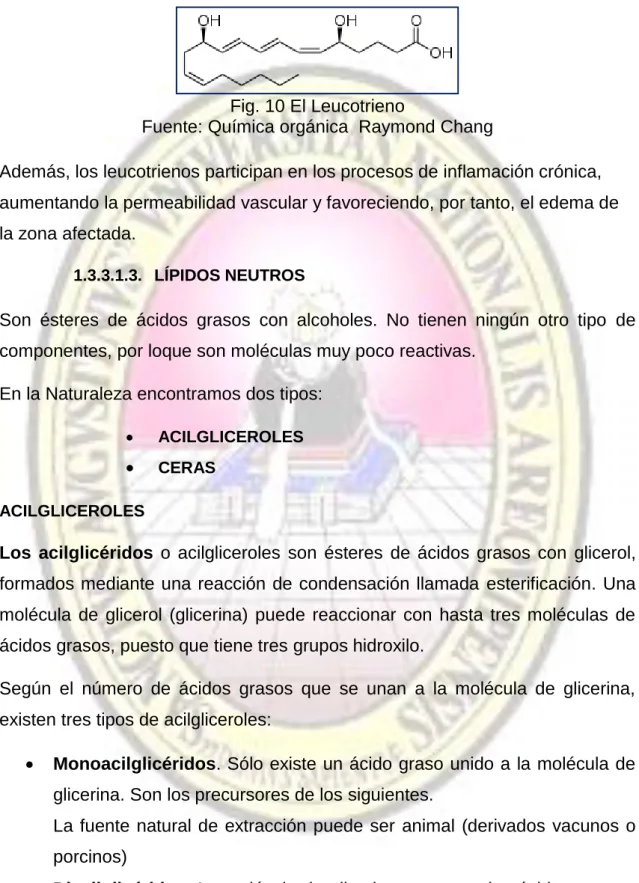 Fig. 10 El Leucotrieno 