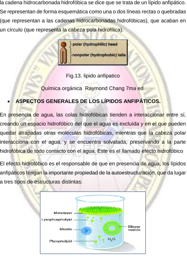 Fig. 14. Tres tipos de estructuras 