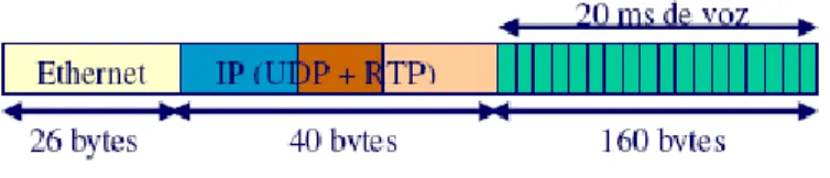 Figura 1.1: Ejemplo de un paquete de voz [7]. 