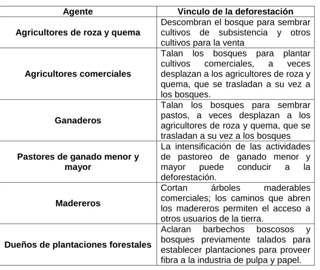 Tabla 1. Agentes de la deforestación 