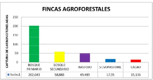 Figura 4 Fincas Agroforestales. 