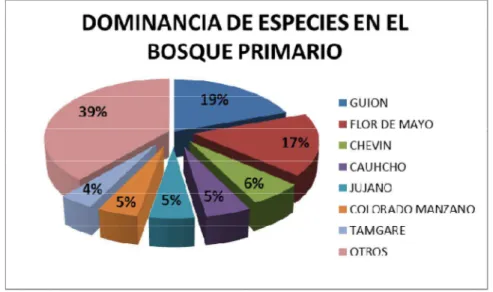 Figura 5. Dominancia de especies en el bosque primario. 