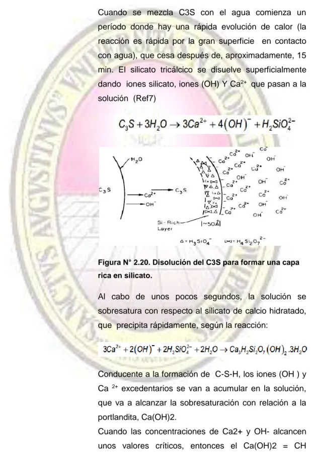 Figura N° 2.20. Disolución del C3S para formar una capa  rica en silicato. 