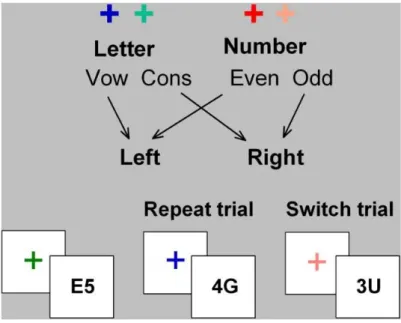 Figure 4. Example of a set-shifting task using bivalent stimuli.  In this case, the color of the cue (+) indicates  whether the participant must pay attention to the letter or the number that will follow shortly