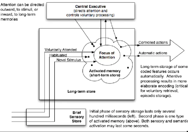 Figure 9. Cowan’s Embedded Processes Theory of working memory . Adapted from (Cowan, 1999), by Laura  B