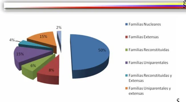 Figura 1.  Tipos de familias en la población. 