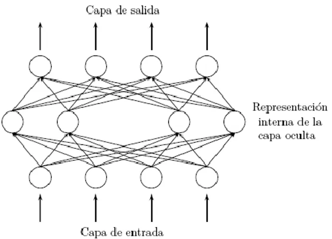 Figura 1.1. Arquitectura redes neuronales MLP. 