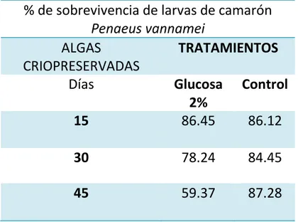 Figura  #  4.3.-  Gráfico  que  muestra  los  porcentajes  de  sobrevivencia  de  larvas  de  camarón  Penaeus vannamei alimentadas con microalgas criopreservadas por 15 días con Glucosa al 2% 