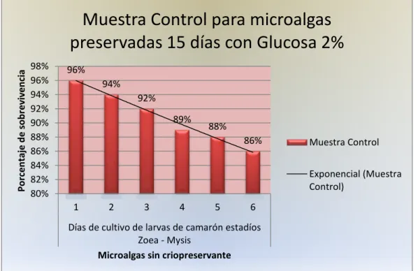 Figura  #  4.4.-  Gráfico  que  muestra  los  porcentajes  de  sobrevivencia  de  larvas  de  camarón  Penaeus  vannamei  alimentadas  con  microalgas  de  la  muestra  control  para  microalgas  criopreservadas por 15 días con Glucosa al 2% de concentraci