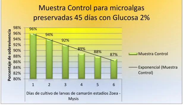 Figura  #  4.10.-  Gráfico  que  muestra  los  porcentajes  de  sobrevivencia  de  larvas  de  camarón  Penaeus  vannamei  alimentadas  con  microalgas  de  la  muestra  control  para  microalgas  criopreservadas por 45 días con Glucosa al 2% de concentrac