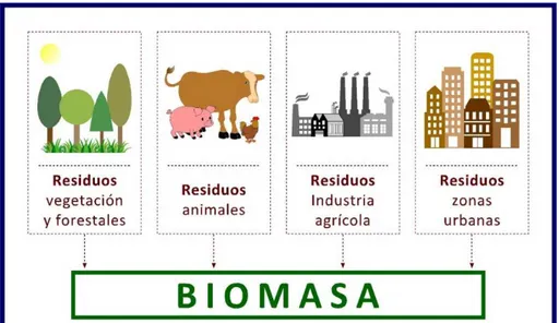 Figura 3 - Fuentes de Energía Biomasa  Fuente: http://openbio.cl 