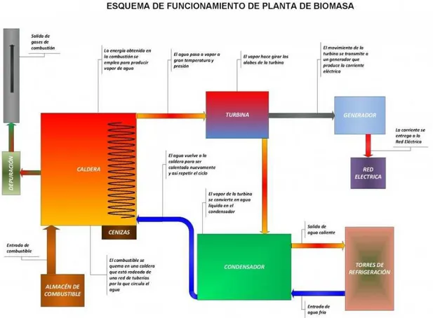 Figura 4 - Funcionamiento de una planta de biomasa  Fuente: https://bester.energy 
