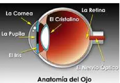 Tabla No.01 Diferentes tipos de luminosidades en candelas. 