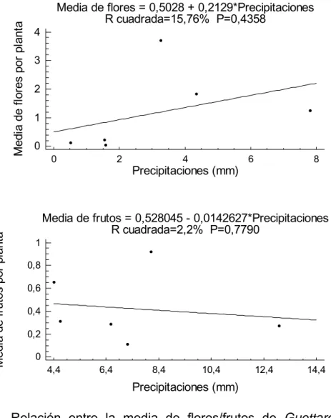 Figura 4. Relación entre la media de flores/frutos de Guettarda clarensis y las  precipitaciones