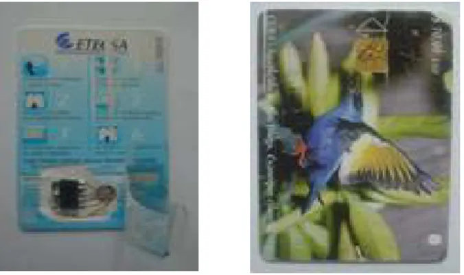 Fig. 3.1- Vista de una Tarjeta Chip clonada. 