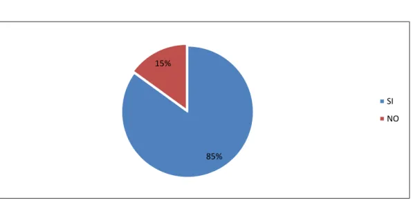 GRÁFICO Nº 1 