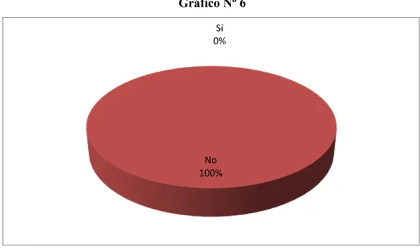 Gráfico Nº 6 