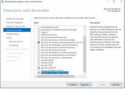 Figura 4. Rol WSUS 