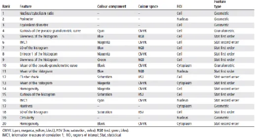 Figure 5: 20 most relevant, less redundant features selected (Source: Puigví et al.) 