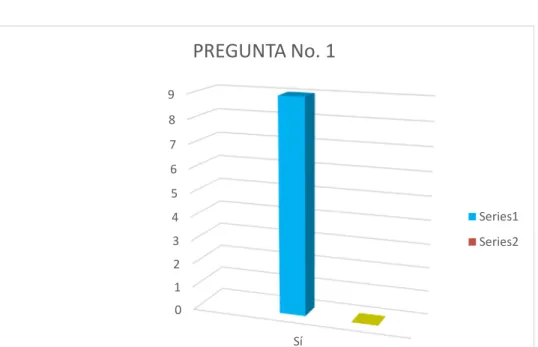 Gráfico Nº 1 
