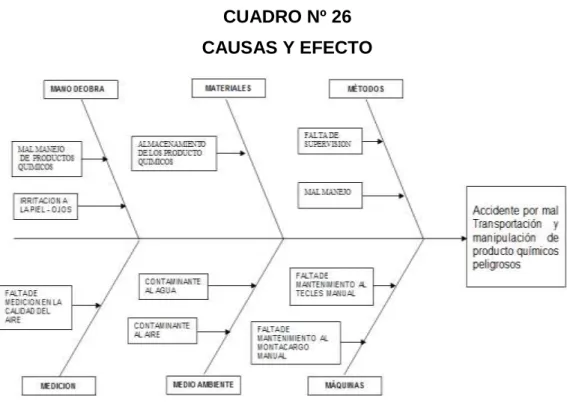 CUADRO Nº 26  CAUSAS Y EFECTO 