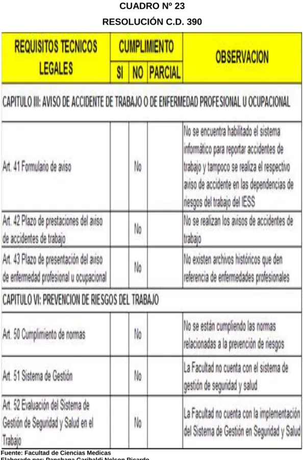 CUADRO Nº 23  RESOLUCIÓN C.D. 390 