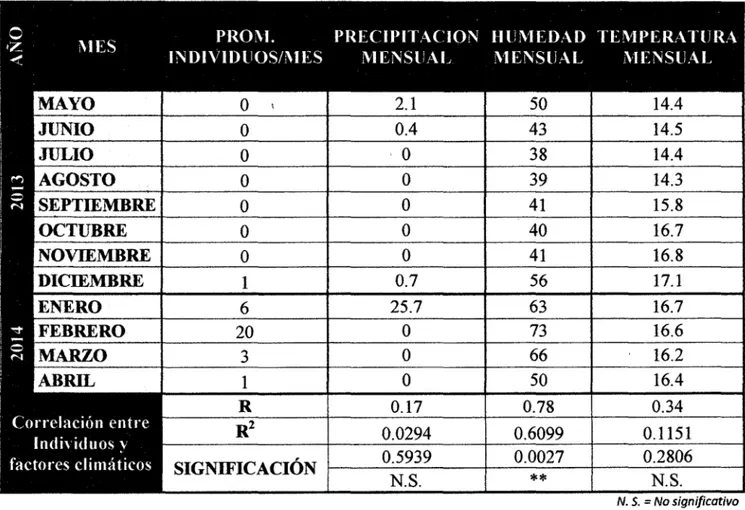 CUADRO No  12: Coeficiente de correlación simple y grado de significación del número de  adultos de Golofa minutus con los factores climáticos mensuales de la zona en estudio