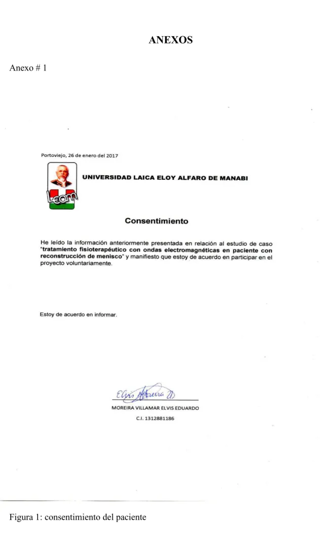 Figura 1: consentimiento del paciente 
