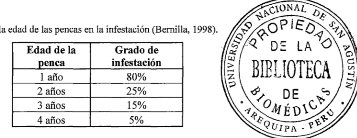 Tabla 2:  Influencia de la edad de las pencas en la infestación (Bernilla,  1998).  Edad de la  Grado de  penca  infestación  1 año  80%  2 años  25%  3 años  15%  4 años  5%  e)  Otros: 