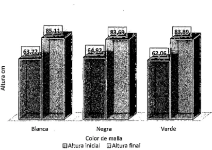 Figura  6:  Altura inicial y final según color de mallas, en la producción de cochinilla del carmín,  con tres colores de malla &#34;raschel&#34; y tres periodos de sombreado, La Joya- Arequipa  2012