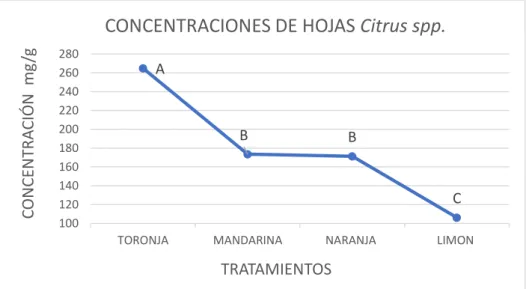 Gráfico N°2. Resultados de las concentraciones de los extractos en hojas  Citrus spp  
