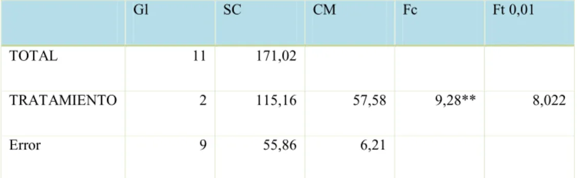 Tabla Nº17 Consumo de Alimento en general Kg 