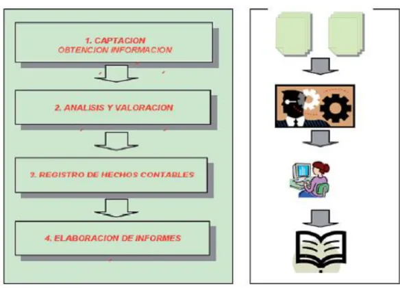 Figura 3. El proceso contable 