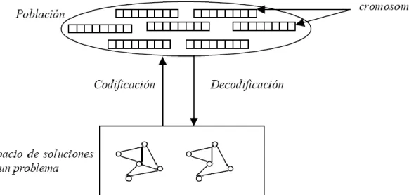 Figura 1.3: Codificación de soluciones en un AG. 