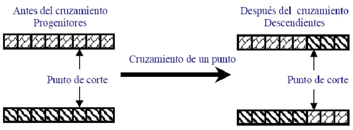 Figura 1.5: Esquema del cruzamiento de un punto. 